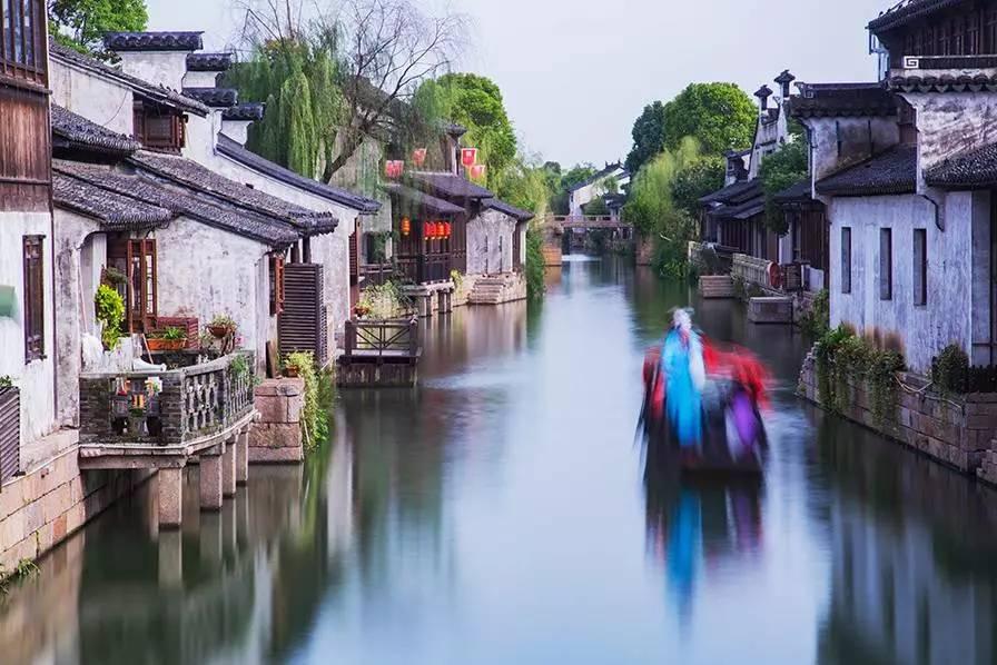 动物帮帮忙保卫家园